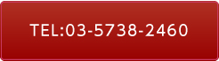 TEL:03-5738-2460